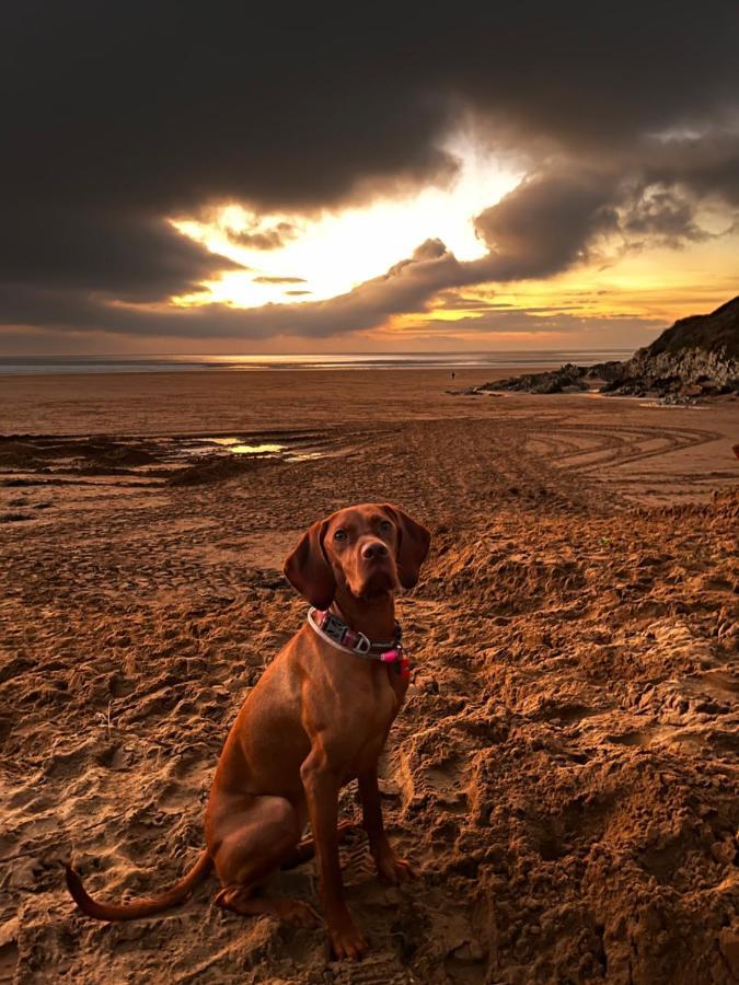4 Rockham - Luxury Apartment At Byron Woolacombe, Only 4 Minute Walk To Woolacombe Beach! 외부 사진